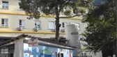 Hastanenin Bekleme Salonundaki Çam Ağacı Şaşırtıyor