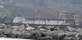 Anguslar İskenderun Limanı'ndan Tahliye Ediliyor