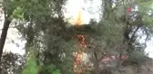 Antalya'da Orman Yangını