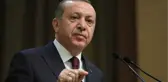 Adalet Bakanı Gül Duyurdu: Hayvanlara Eziyet Edenlere Hapis Cezası Gelecek