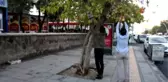 Ağaç Dalları Kitap Açtı