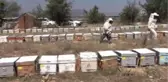 6. Uluslararası Muğla Arıcılık ve Çam Balı Kongresi