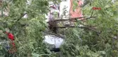 Erzurum'da Fırtına Etkili Oldu