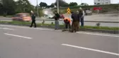 Sinop Otomobilin Çarptığı Köpek, Can Çekişerek Öldü