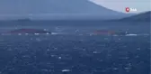 Kardak Kayalıkları'nın 1 Mil Uzağındaki Kule Tamamlandı