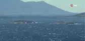 Kardak Kayalıkları'nın 1 Mil Uzağındaki Kule Tamamlandı