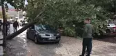 Rüzgarın Devirdiği Ağaç Otomobilin Üzerine Düştü