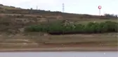 Sazlıdere Baraj Gölünde Kuşların Dansı Kamerada