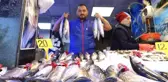 Palamut Çekiliyor, Umutlar Hamside