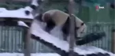 Pandalardan Kar Keyfi