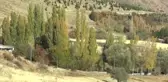 Şenlik Paraları