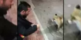Tilkiyi Meyveli Kekle Besledi