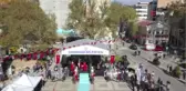 Orhangazi Zeytin Festivali 40 Yaşında