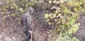 Sosyal Medya Fenomeninin Uçangözü İçin Seferber Oldular