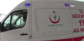 Kestiği Ağaç Üzerine Devrildi
