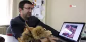 Karadeniz'de Fındığa Alternatif Kestane