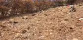 Çatak'ta Toprağa Gömülü Eyp ile Çok Sayıda Yaşam Malzemesi Ele Geçirildi