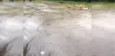 Sel Nedeniyle Otoparkı Su Bastı, Araçlar Mahsur Kaldı
