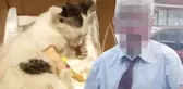 Yavru Kediyi Tecavüz Edip Öldüren Sapığın Evinden İğrenç Görüntüler Çıktı!