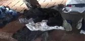 Arkadaşını 45 Yerinden Bıçaklayıp Öldüren Zanlı Eğlence Mekanında Yakalandı