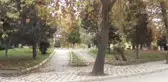 Belediyeden 