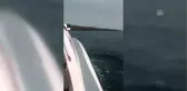 Adada Mahsur Kalan Göçmenler İçin Kurtarma Operasyonu Başlatıldı (2)