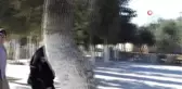 İsrail Tarım Bakanı, Mescid-i Aksa'ya Baskın Düzenledi