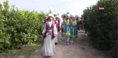 Yabancı Konukların Narenciye Hasadı Renkli Görüntüler Oluşturdu