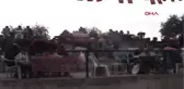 Aydın Deve Güreşinin Geliri Öğrencilere Burs Oldu