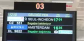 İstanbul- Yolcu Uçağını Amsterdam'dan İstanbul'a Bir Kral Getirdi -2