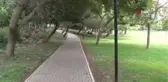 Parkta Fotoğraf Çektirdiği İçin Öldürüldü