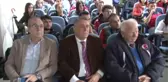 Domaç: 