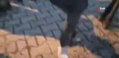 Okul Servisinin Çarptığı Eşeğe Hayvan Severler Sahip Çıktı