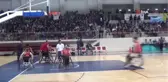 Aslan Yalova'da Farklı Kükredi