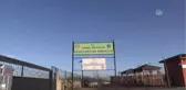 Barınaktaki Köpek Yavrularını da Emziriyor