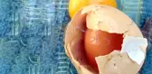 Erzurumlu Vatandaşın Kırdığı Yumurtanın İçinden Yumurta Çıktı
