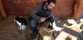 Ağaç Dallarından 25 Yıldır Tahta Kaşık Yaparak Ailesinin Geçimini Sağlıyor