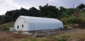 Hataylı Çiftçi Klasik Müzikle Yetiştirdiği Mantarlarından 3 Ayda 4 Ton Ürün Alacak