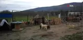 Hasta Hayvanlar İçin Barınak Kurdu