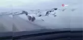 Ayılar Yiyecek Bulmak İçin Karayoluna İndi
