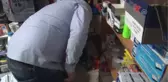 İş Yerinde Yavrulayan Kedi ve Yavrularını Sahiplendi