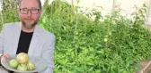 Şifa Niyetine Diktiği Pepino, Gelen Talepler Üzerine Gelir Kaynağı Oldu