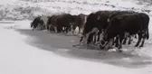 Aktaş Gölü'nün Yüzeyi Buz Tuttu