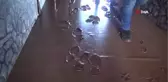Kırılan Baraj Kapağının Yükselttiği Sular Çekildi, Zarar Ortaya Çıktı