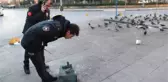 Karikatürist Oğuz Aral'ın Avanak Avni Karakterinin Kadıköy'deki Heykeli Çalındı