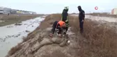 Geceyi Düştüğü Bataklıkta Geçirdi...bataklığa Saplanan Üniversite Öğrencisini Afad Ekipleri Kurtardı