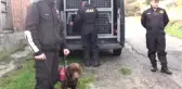 Bartın'da Kaybolan Kişi İçin Arama Çalışmaları Yeniden Başladı
