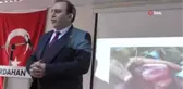 İçi ve Dışı Kırmızı Elma