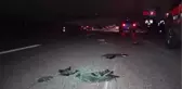 Kocaeli Arızalanan Aracı İterlerken Otomobil Çarptı 1 Ölü, 4 Yaralı