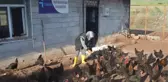 Engelli Vatandaş Aldığı Hibeyle Hobisini Gelir Kapısına Dönüştürdü